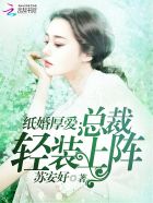 纸婚厚爱：总裁轻装上阵封面