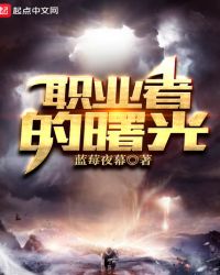 职业者的曙光封面