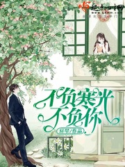 不负寒光不负你封面