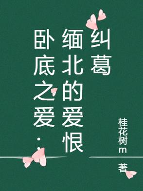卧底之爱：缅北的爱恨纠葛封面