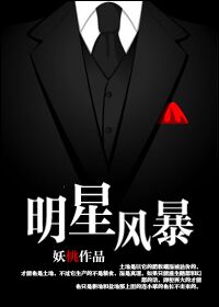 明星风暴封面