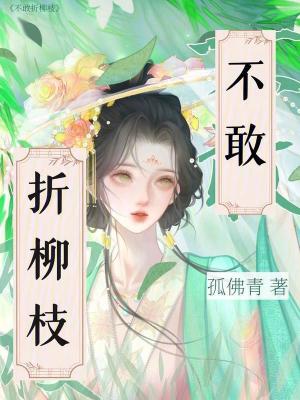 不敢折柳枝封面