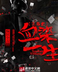 王者之血染一生封面