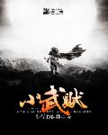 小武贼封面