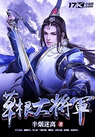 草根大将军封面