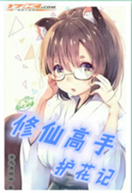 修仙高手护花记封面