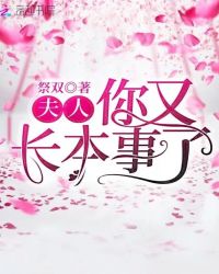 夫人你又长本事了封面