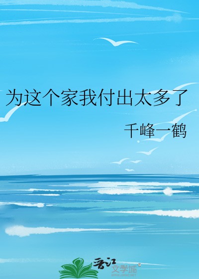 为这个家我付出太多了封面
