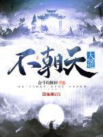 大道不朝天封面