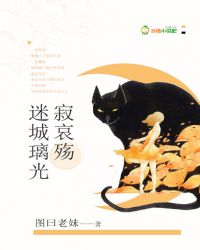 迷城璃光寂哀殇封面