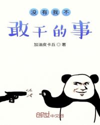 没有我不敢干的事封面