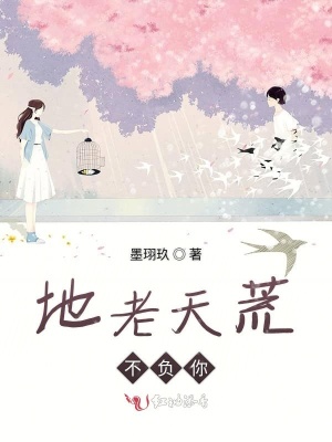 地老天荒不负你封面