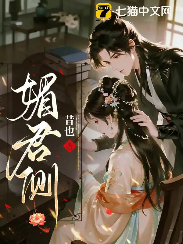 媚君侧封面