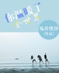 你温暖了整个世界封面