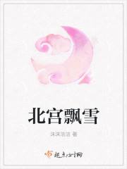 北宫飘雪封面