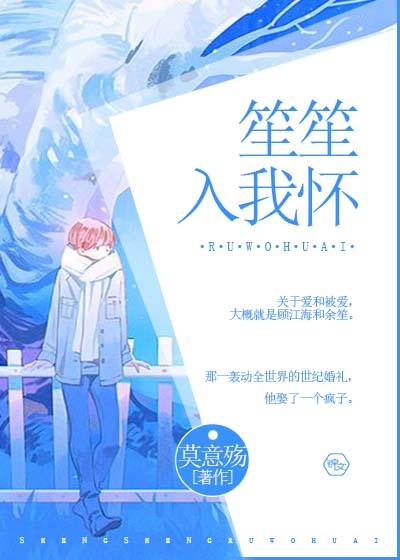 笙笙入我怀封面