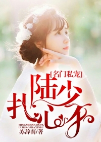 名门私宠,陆少扎心不封面