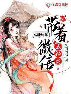高能厨娘：带着微信去经商封面