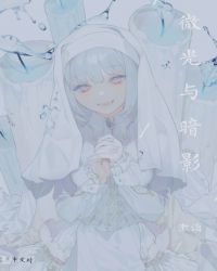 微光与暗影封面