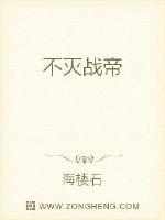 不灭战帝封面