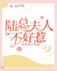 陆总夫人不好惹封面