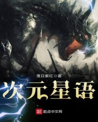 次元星语封面