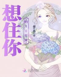 想住你的10平米封面