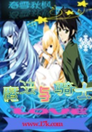 魔法与骑士封面