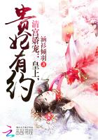 清宫娇宠：皇上，贵妃有约封面