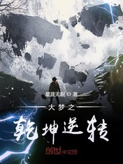 大梦之乾坤逆转封面