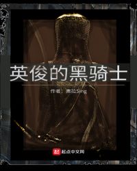英俊的黑骑士封面