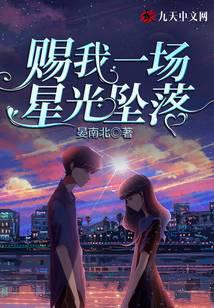 赐我一场星光坠落封面