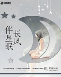 长风伴星眠封面