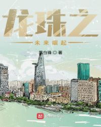 龙珠之未来崛起封面