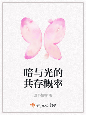 暗与光的共存概率封面