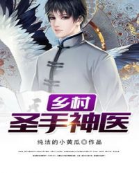 乡村圣手神医封面