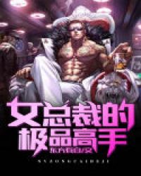女总裁的极品高手封面