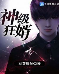 神级狂婿封面