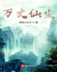 万丈仙尘封面