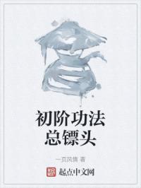 初阶功法总镖头封面
