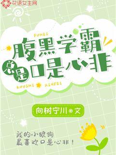 腹黑学霸总是口是心非封面