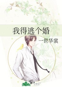 我得逃个婚封面