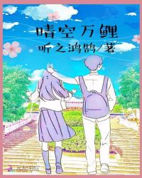 晴空万鲤封面