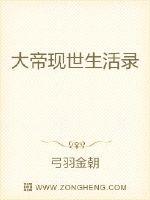 大帝现世生活录封面