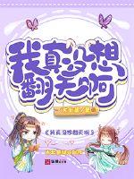我真没想翻天啊封面