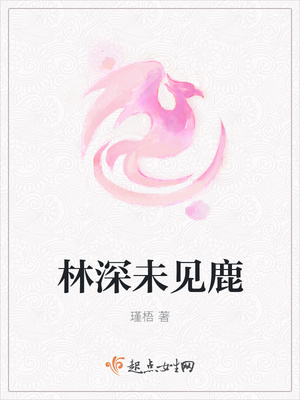 林深未见鹿封面