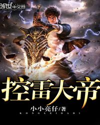 控雷大帝封面