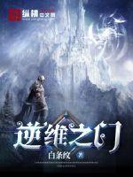 逆维之门封面