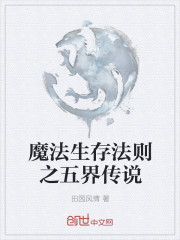 魔法生存法则之五界传说封面