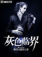 灰色临界封面